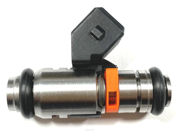 autopartes Mexico cancun - inyector de combustible iwp127 50103302 2n1u9f593ja 406F2195 FORD