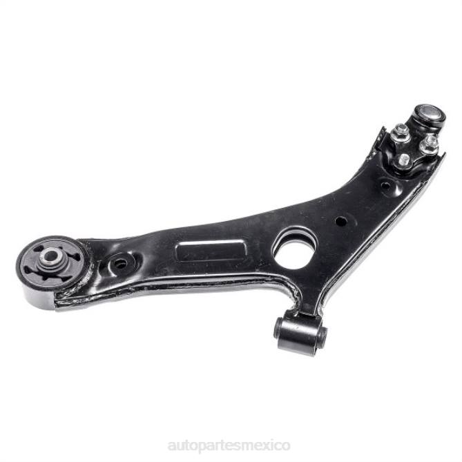 brazo de control 54501-4w000 Hyundai hutchinson autopartes México - PF8B3424